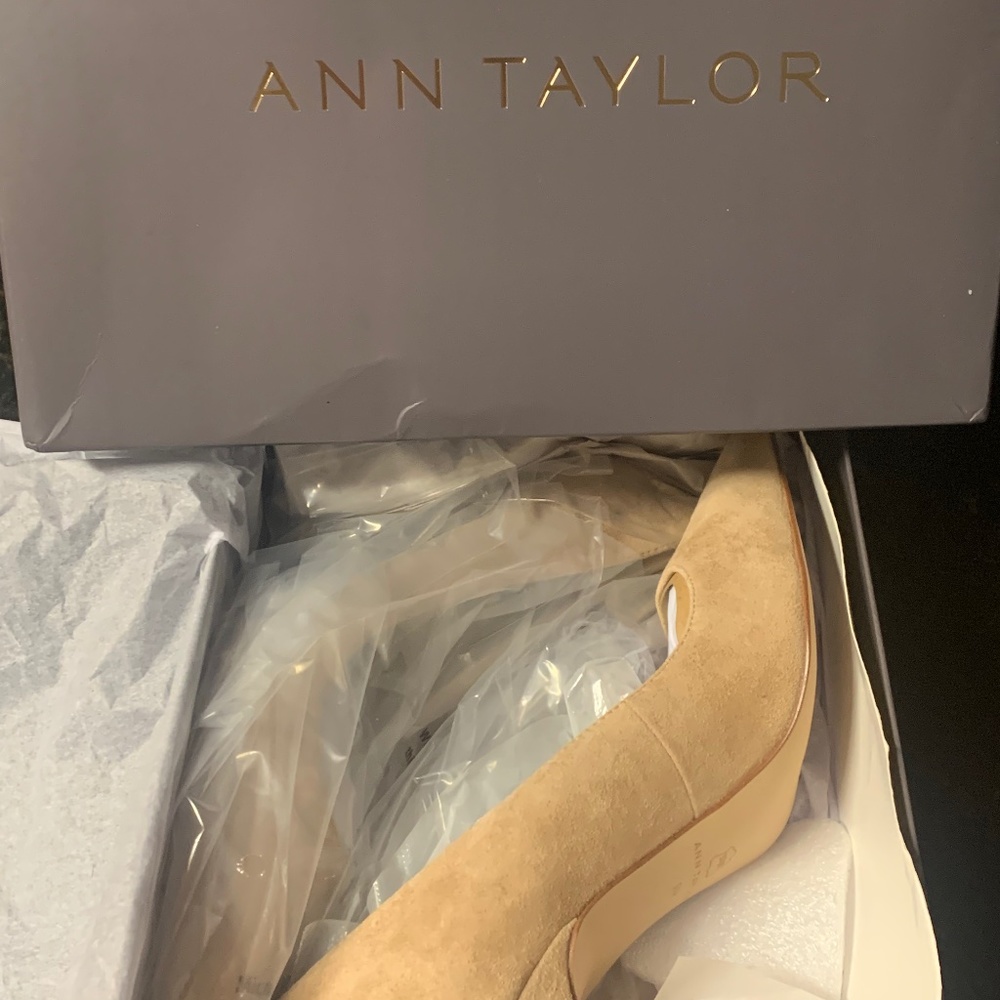 New Mila Suede Pumps by Ann Taylor